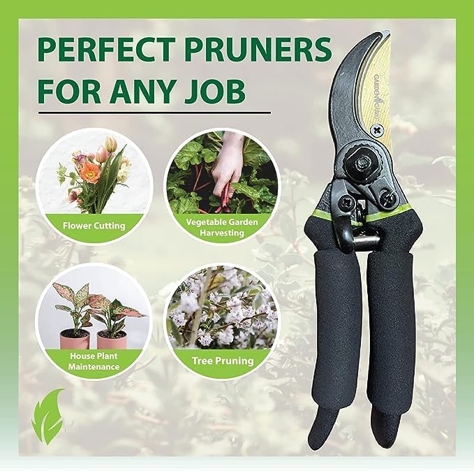 GARDEN GURU Soft Grip Garden Pruning Shears Scissors Clippers - Hardened Titanium Blades, Comfort Grips ??Heavy Duty Bypass Hand Pruners Branch Cutters for Gardening Trimming Bushes - 1 Case (50 Pcs)