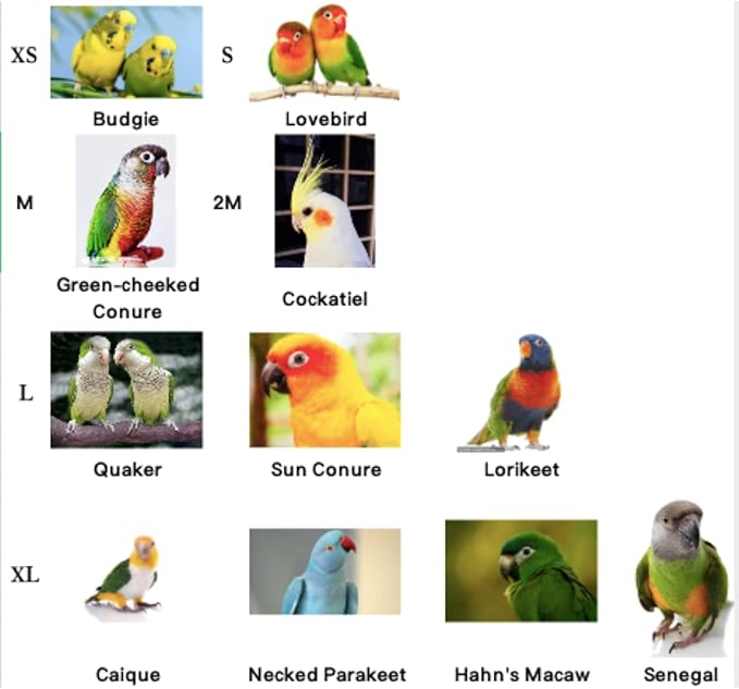 Bird Flight Harness Vest, Parrot Flight Suit with Leash for Parakeets Cockatiels Conures Budgies, Bird Flying Clothes with Rope and Handle for Outdoor Activities Training, Anti Bite (2M)