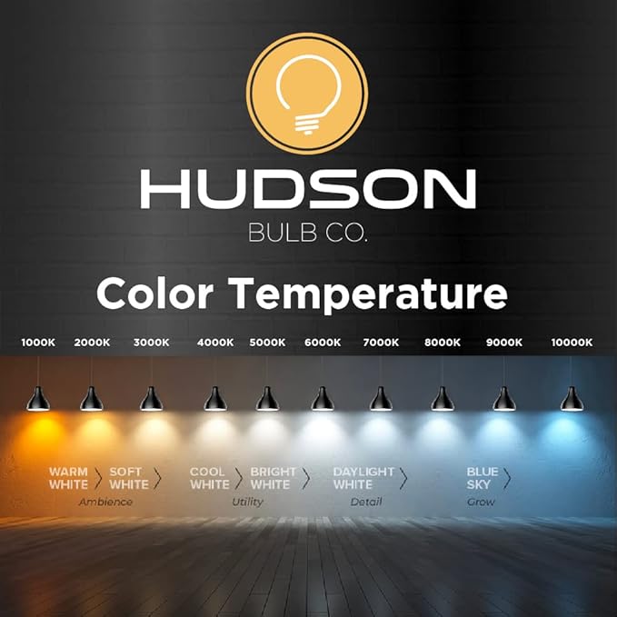Vintage Edison Incandescent Light Bulbs - 6-Pack 60W, E26/E27, Dimmable 2100K Antique Filament Lamp - ST64 Squirrel Design for Indoor & Outdoor Use