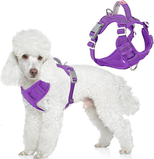 BARKBAY Dog Harness No Pull with ID Tag Pocket - Heavy Duty, Reflective, Easy Control for Large Dogs(Purple,S)