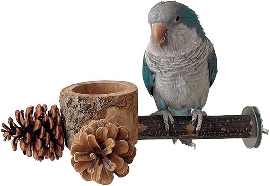 Bird Perch with Feeder for Cage & Chew Toys Pinecones - Bird Cage Accessories 100% Natural & Durable for Cockatiel, Conure, Budgie, Lovebird, Parakeet - Parrot Food Treats Bowl for Foraging