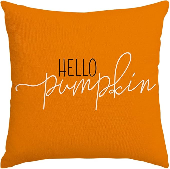 RABUSOFA Fall Pillow Covers 16x16 Inch,Autumn Hello Pumpkin Pillows Decorative Throw Pillows,Outdoor Thanksgiving Cushion Cover Farmhosue Fall Decor for Bedroom Couch Sofa