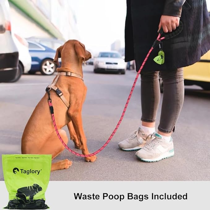 Taglory Rope Dog Leash 6 FT with Comfortable Padded Handle, Highly Reflective Threads Leash and Anti-Tangle Clip for Walking Small Dogs, 3/8 inch, Pink