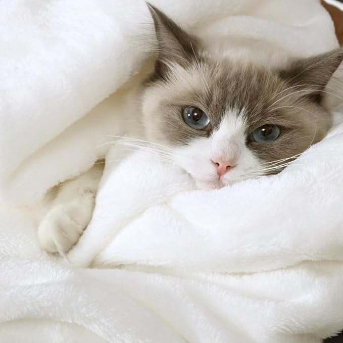Hansleep Queen White Fleece Blanket, Soft Flannel Bed Blanket | Fuzzy Cozy Blanket 90x90 Inches, Multi-use for Bed, Sofa, Couch, Travel, Camping, All Season Warm Lightweight Cover