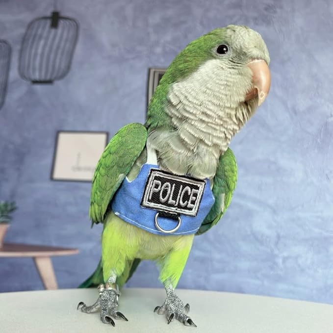 Bird Flight Harness Vest, Parrot Flight Suit with Leash, Bird Flying Clothes with Rope and Handle for Outdoor Activities (Without Leash,Common Hill Myna)