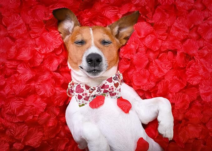 Lionheart glory Heart Dog Collar, Adjustable Dog Collar with Bowtie, Pet Gift Collar for Dog Soft Bowtie Dog Collars for Large Dogs