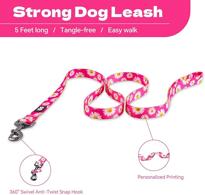 QQPETS Dog Harness Leash Set Adjustable Heavy Duty No Pull Halter Harnesses for Small Medium Large Breed Dogs Back Clip Anti-Twist Perfect for Walking (M(19"-26" Chest Girth), Daisy)