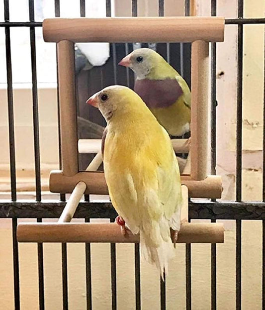 Birds Mirror for Cage,Parrot Hanging Swing with Mirror,Natural Wooden Play Mirror Pet Bird Cage Accessories with Metal Hook