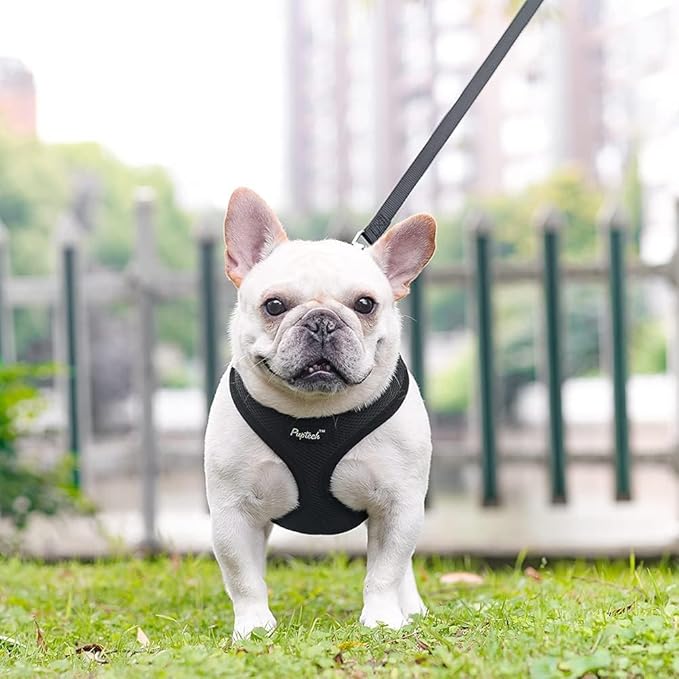 PUPTECK Soft Mesh Dog Harness and Leash Set Pet Puppy Cat Comfort Padded Vest No Pull Harnesses, Solid Black, S