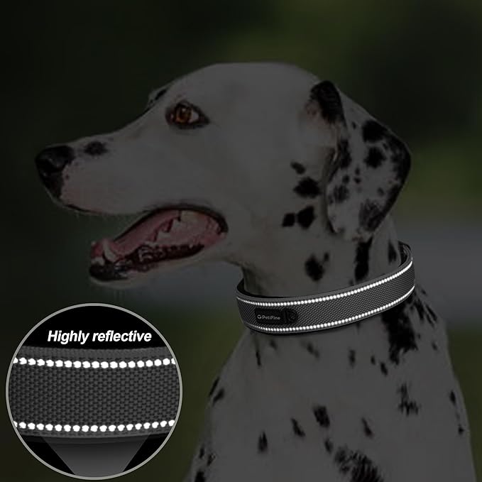 PetiFine Dog Collars for Medium Dogs, Neoprene Padded and Adjustable, Reflective Wide Heavy Duty Pet Collars with Durable Metal Belt Buckle for Walking, Grey, M
