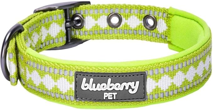 Blueberry Pet Reflective Jacquard Dog Collar with Neoprene Padding & Metal Buckle | Soft & Adjustable Safety Collar - Macaw Green, Neck 17-20.5", for Large Breed