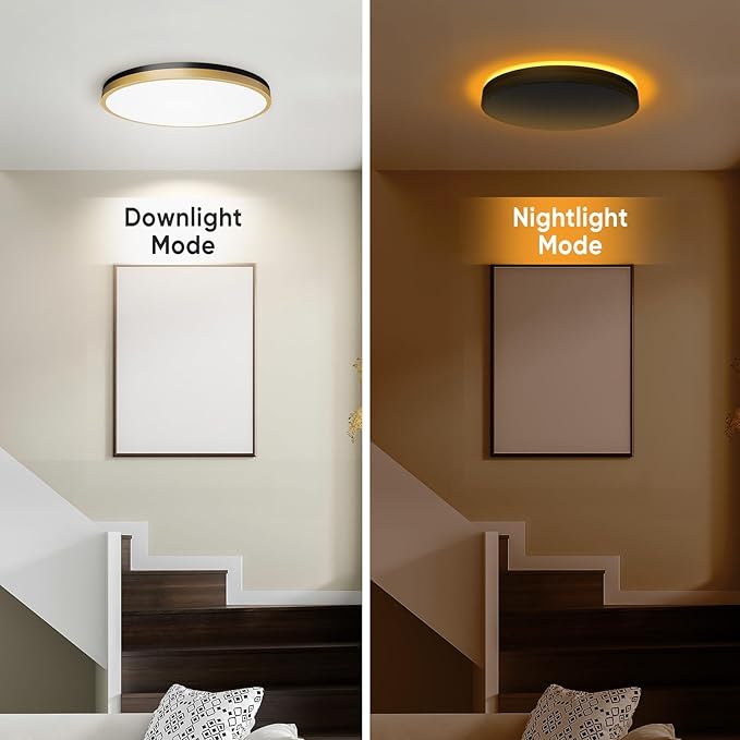 11 Inch Flush Mount Ceiling Light with Remote Control & Night Light, 5CCT Dimmable Ceiling Light Fixture, 20W 2000LM 2700K-6500K Adjustable LED Ceiling Lights for Bedroom Kitchen Living Room