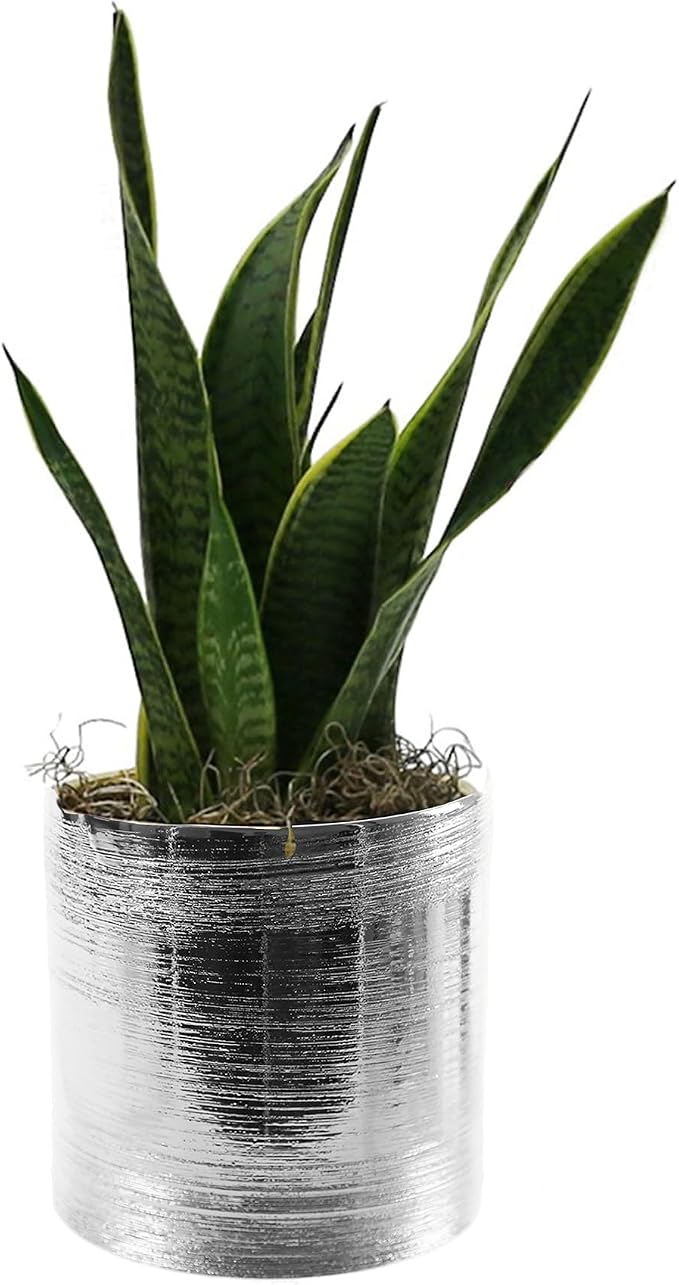 WGVI Silver Etched Ceramic Cylinder Vase Width 3.75" Height 4", Flower Arrangements, Candle Holder, Terrarium Planter Pot, Storage Container Organizer, Pen Brush Holder, Scratched Texture, 1 Piece