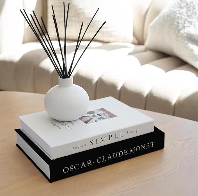 Decorative Books for Home Decor,2 Pcs Modern Minimalist Faux Book for Home Decoration,Coffee Table Decor,Living Room Aesthetic Accent (E2)