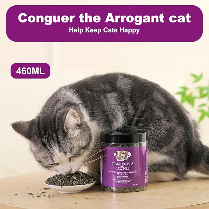 Organic Natural Catnip Cattle Grass Mint Taste Funny Cat Toy New Cat Toy Interactive Cat Toys Pet Supplies