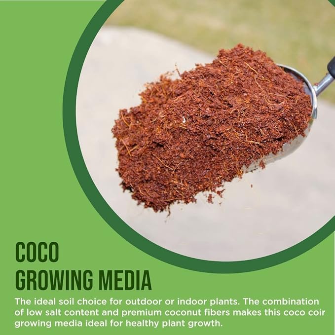 Coco Coir Husk Chips 2-Pack – 2.4 Cu. Ft. Compressed Coconut Coir Bricks, 10 lb. Natural Substrate for Indoor & Outdoor Use, Orchid Bark Alternative, Orchid Potting Mix, Indoor Plant Soil