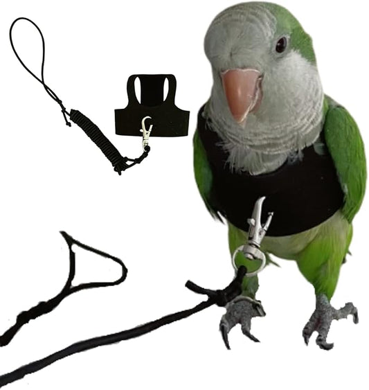 Bird Flight Harness Vest, Parrot Flight Suit with Leash for Parakeets Cockatiels Conures Budgies, Bird Flying Clothes with Rope and Handle for Outdoor Activities Training, Anti Bite (Large)
