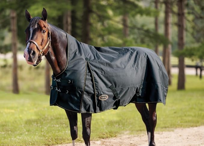 Country Pride Paladin 1200D High Neck Heavyweight Turnout Blanket (86)