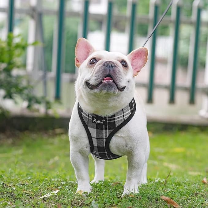 PUPTECK Soft Mesh Dog Harness and Leash Set Pet Puppy Cat Comfort Padded Vest No Pull Harnesses, Black&White, L