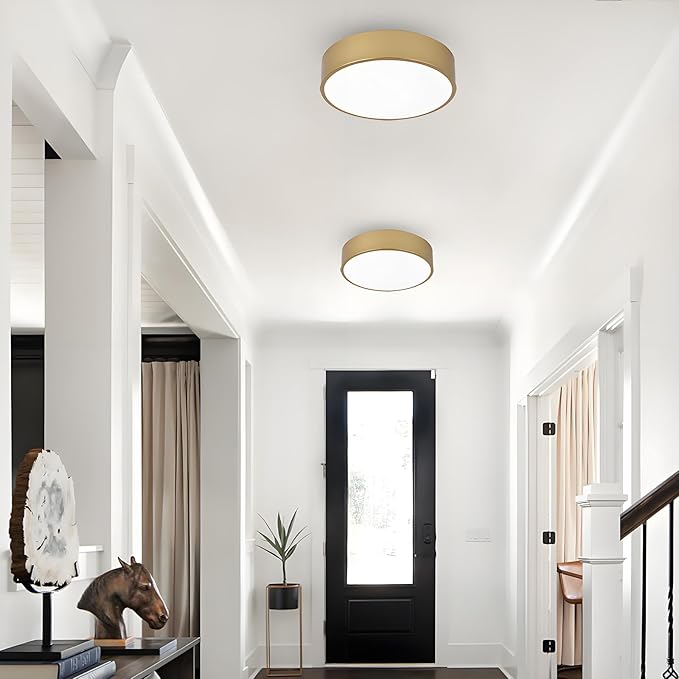 Modern Gold Flush Mount Ceiling Light, 2-Lights Round Ceiling Light, Minimalistic Ceiling Lamp Acrylic Shade Lighting Fixture for Bedroom Laundry Room Bathroom Hallway(11.8 Inch)