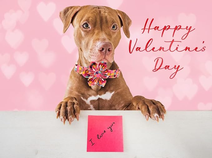 Lionheart glory Easter Dog Collar with Flower Carrot Print Dog Collar Girl or Boy Soft Durable Adjustable Collar Flower Spring Collar Dog Bow for Large Dogs