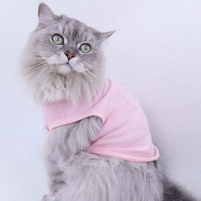 Custom Dog Birthday Shirt,Personalized Pet Apparel Print with Name Age Number,Pet Birthday Outfit,Lightweight Breathable Cotton Vest for Small Medium Large Dogs Cat (Black, 8X-Large)