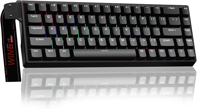 AULA WIN68 HE Mechanical Gaming Keyboard 60%, Hall Effect Magnetic Switch, Fast Trigger Mode Adjustable Actuation, 8000Hz Polling Rate, RGB Backlit, Wired Black Keyboard for Laptop/PC Gamer