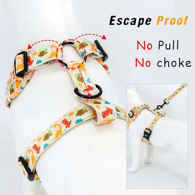 Adjustable Dog Harness and Leash Set for Girl Air Mesh Dog Vest Harness 5Ft Pet Training Leash with Soft Handle Pet Escape Proof for Small Medium Large Dogs (Dinosaur, M)