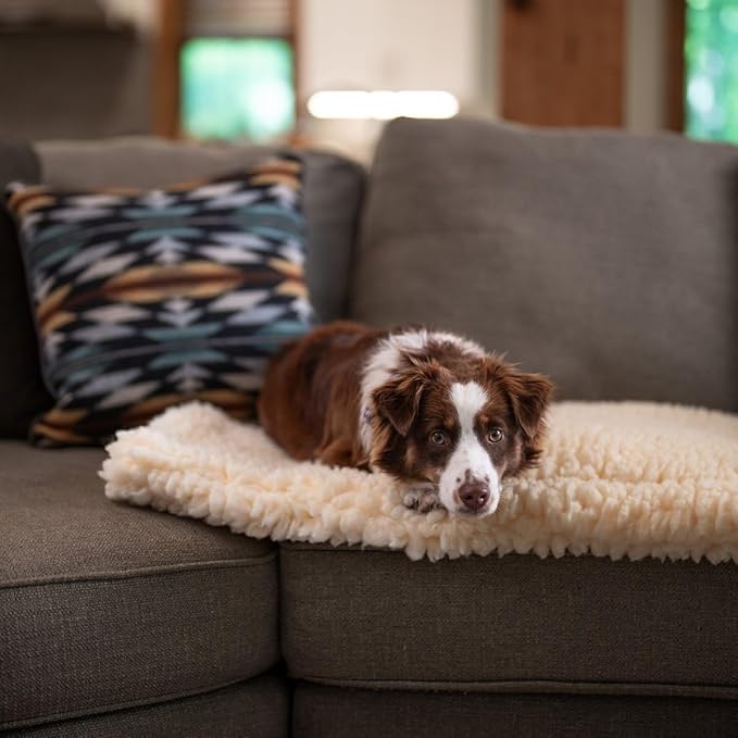 Carolina Pet Co. Dog Comfort Cushion, Sherpa Pet Bed, X-Large 48x30x2 Inches, Polyester, Portable, Machine Washable (Large)