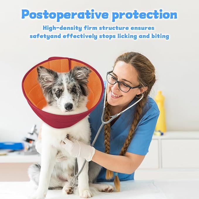 Soft Dog Cone Recovery Collars & Cones After Surgery for Medium Large Dogs, Comfy Ecollars to Stop Licking, Adjustable, Dog Ecollars for Recovery Plastic: Superior Support Fabric: Soft Comfort, XL