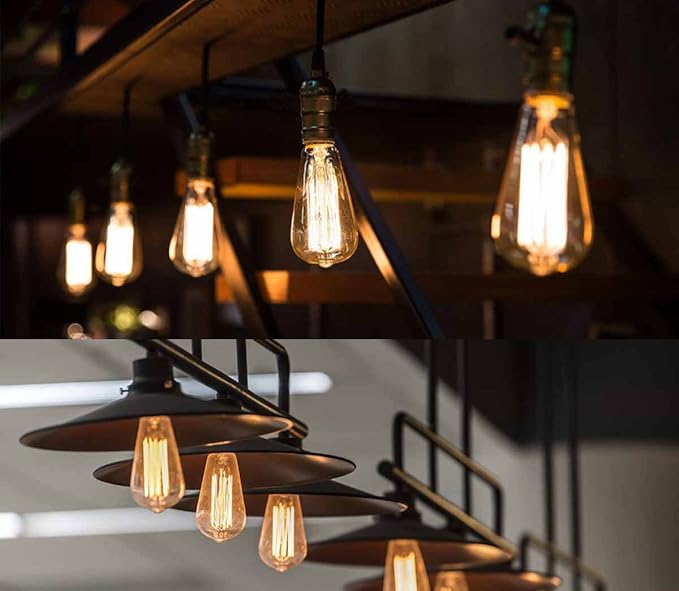 GOENDR E26 40W Edison Bulbs, ST64 Vintage Incandescent Light Bulbs, 2700K Warm Dimmable, Squirrel Cage Filament Bulb for Table Lamp Home Antique Decorative, 4 Pack