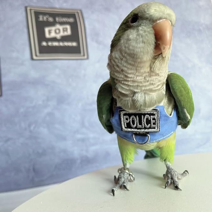 Bird Flight Harness Vest, Parrot Flight Suit with Leash, Bird Flying Clothes with Rope and Handle for Outdoor Activities (with Leash,Hahn's Macaw)