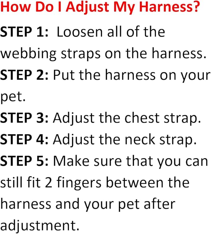 Best Pet Supplies Voyager Adjustable Step-in Flex Breathable Mesh Dog Harness for Small Medium Large Dogs Leash Set (Turquoise), L