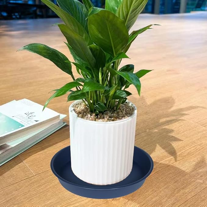 6 Pack Plant Saucer Drainage Tray, Plastic Plant Water Tray, 6 inch Flower Saucers for Indoors, Plant Dishes for Pots Base (6 inch, Blue)