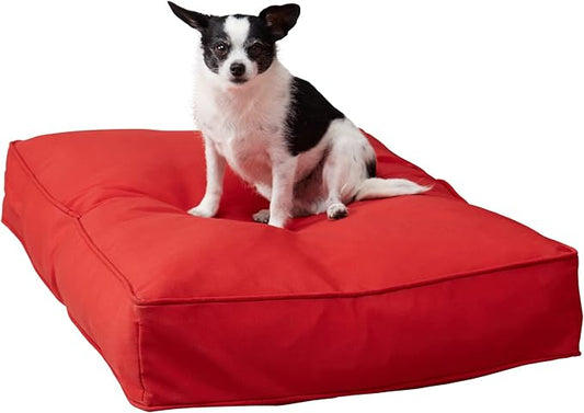 Casey Small (36 x 24 in.) Salsa Rectangle Indoor/Outdoor Pillow Style Dog Bed