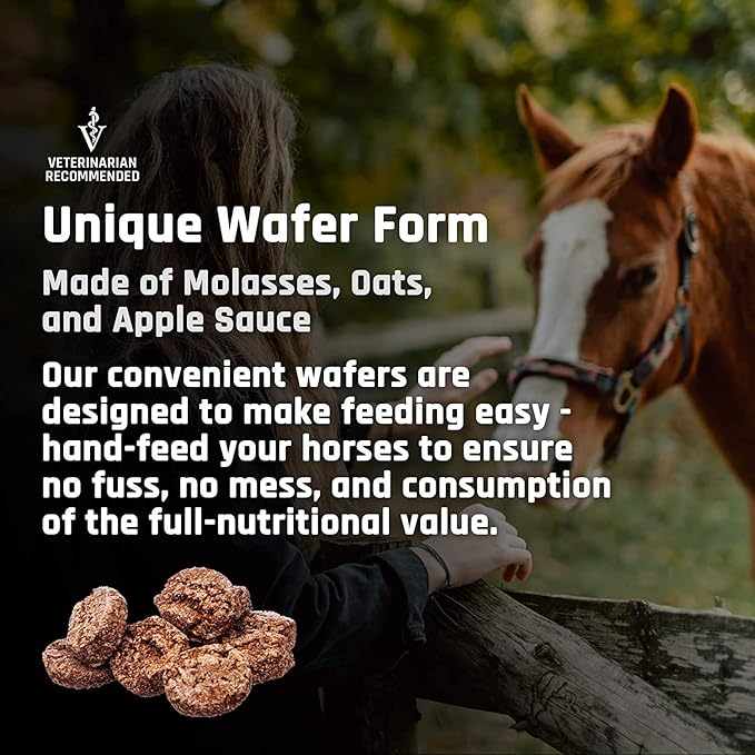 Majesty's Omega Wafers - Superior Horse/Equine Skin, Coat, and Immune Support Supplement - Omega 3, 6, 9, and Biotin (Peppermint, 2 Pack(120 Count Total))
