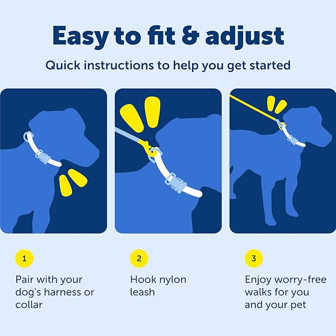 PetSafe Nylon Leash - Strong Nylon Dog Leash for Everyday Walks - Durable Pet Leash with Quick Attach Leash Clip - Comfortable Soft Grip - 6 Feet - Apple Green