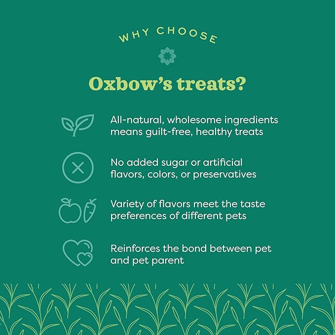 Oxbow Simple Rewards Apple Banana Treats, Timothy Hay Guinea Pig & Bunny Treats, Pet Snack, Made with Oxbow Guinea Pig Hay, Made in USA, Timothy for Rabbit, 3 oz Bag