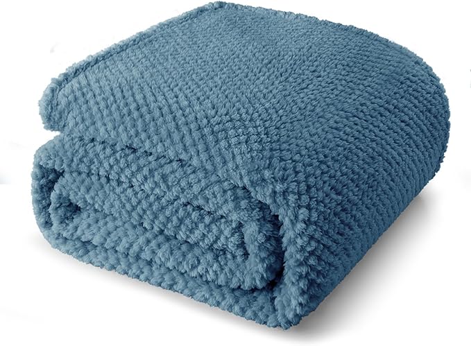 Whale Flotilla Soft Fleece Twin Size Bed Blanket, Slate Blue | 60x80 Inch, Suitable for Bed, Fluffy Fuzzy Jacquard Blankets for All Season, Lightweight and Cozy