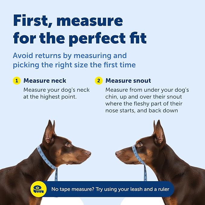 PetSafe Gentle Leader Headcollar No-Pull Dog Collar - Helps Improve Walks - Durable Nylon Construction - Padded Nose Loop - Adjustable Fit - Comfort Walking Halter - Small, Raspberry Pink