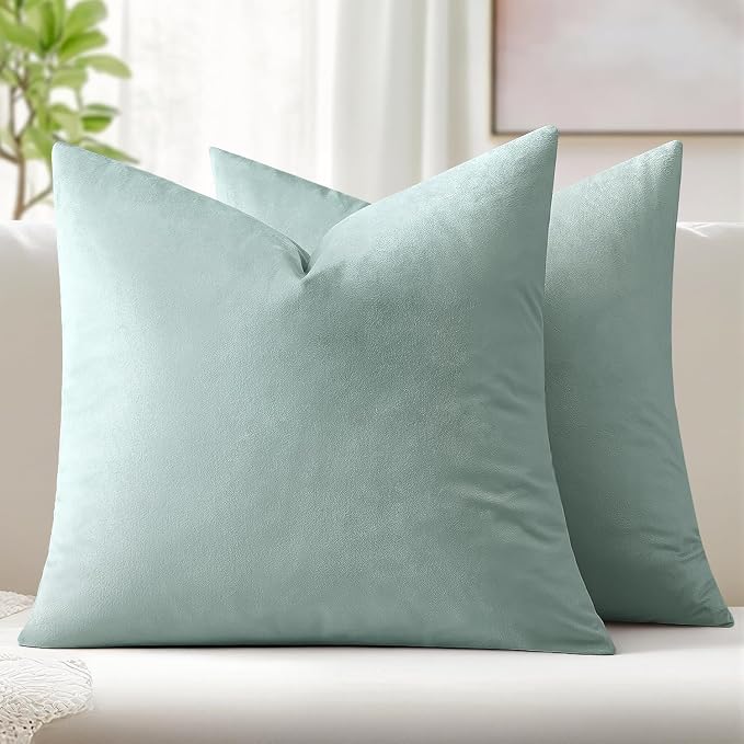 MIULEE Velvet Throw Pillow Covers 20x20 Inch Pack of 2 Aqua Haze | Soft Solid Decorative Pillow Covers, Modern Luxury Home Decor, for Couch Chair Sofa Bedroom Livingroom