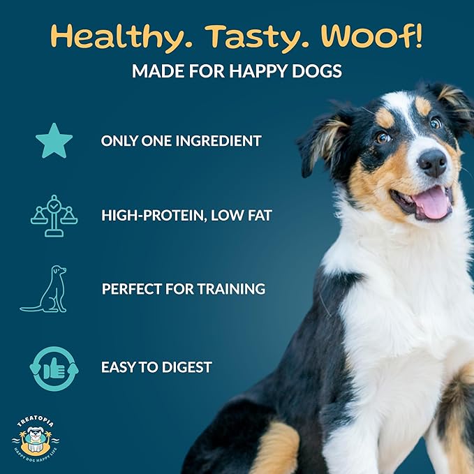 TREATOPIA Beef Lung Nuggies Dog Treats, 1 LB Bag - All-Natural, Sustainable, Healthy, High Protein, Hand-Trimmed, Slow-Roasted, Made in The USA, Nutritious, No Additives, No Fillers