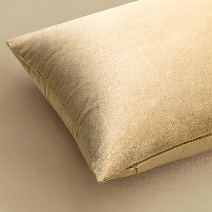 MIULEE Velvet Throw Pillow Covers 20x20 Inch Pack of 2 Beige | Soft Solid Decorative Pillow Covers, Modern Luxury Home Decor, for Couch Chair Sofa Bedroom Livingroom