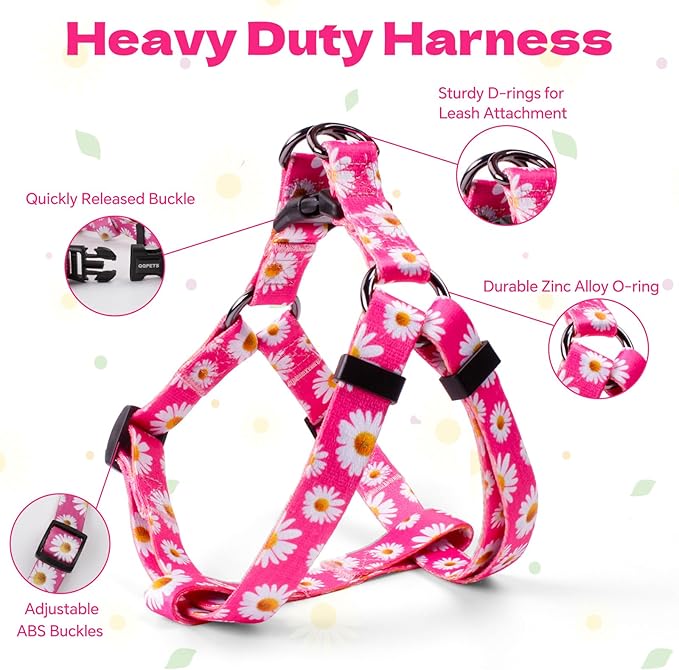 QQPETS Dog Harness Leash Set Adjustable Heavy Duty No Pull Halter Harnesses for Small Medium Large Breed Dogs Back Clip Anti-Twist Perfect for Walking (M(19"-26" Chest Girth), Daisy)