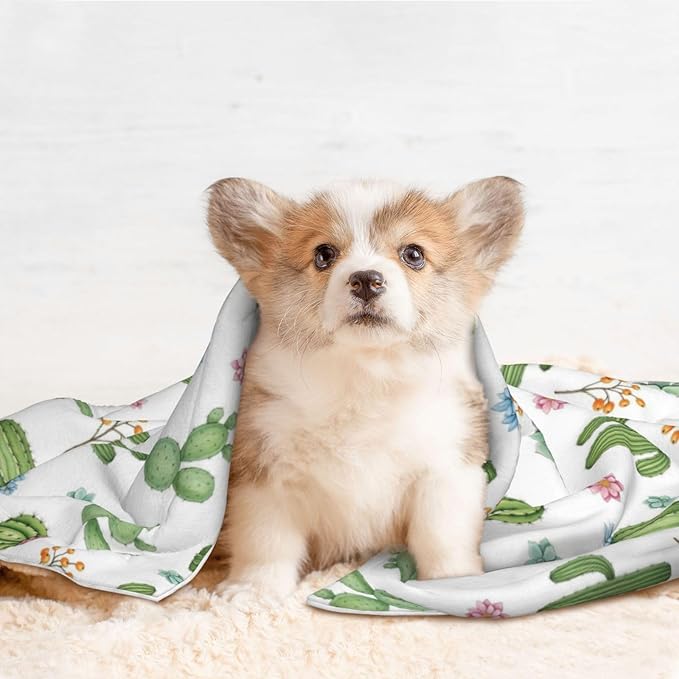 Pet Blanket for Car Rides Vet Visits, Watercolor Elements Succulent Plants Cactus, Two Sided Reversible Plush Design with Bumpy Dot Side Offers Comfort Home Piece On Go Travel
