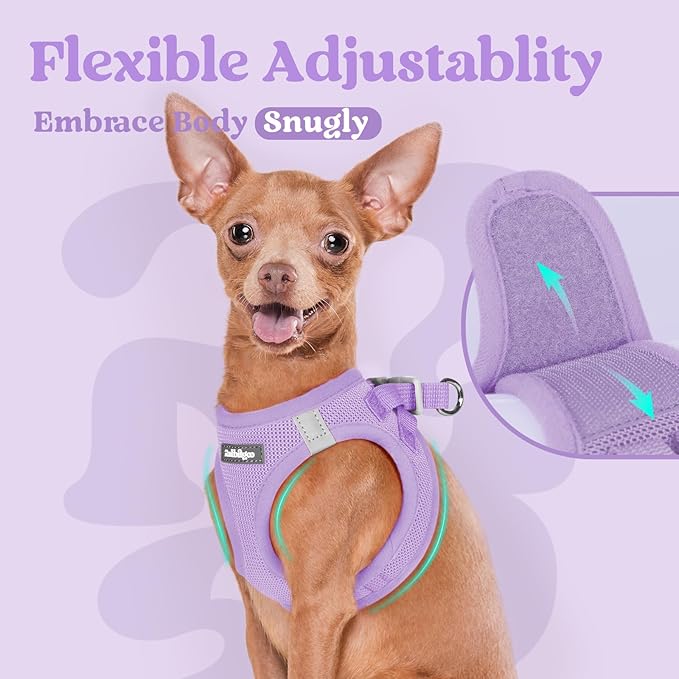 rabbitgoo Small Dog Harness, Step-in Soft Mesh Puppy Vest with Safety Buckle, Breathable Reflective Pet Harness for Small Sized Dogs, Light Purple S