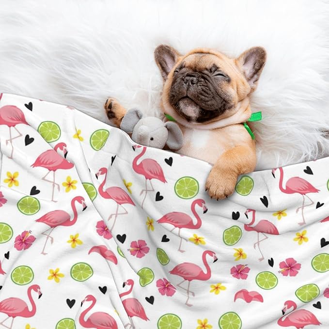 Reversible Plush Dot Pet Blanket for Dogs and Cats, Cute Pink Flamingo, Ultra Soft Two Sided Design with Warm Fuzzy Side and Smooth Side for Comfort