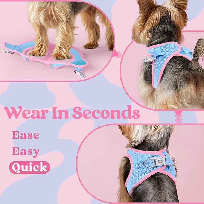 rabbitgoo Small Dog Harness, Step-in Soft Mesh Puppy Vest with Safety Buckle, Breathable Reflective Pet Harness for Small Sized Dogs, Blue & Light Pink M