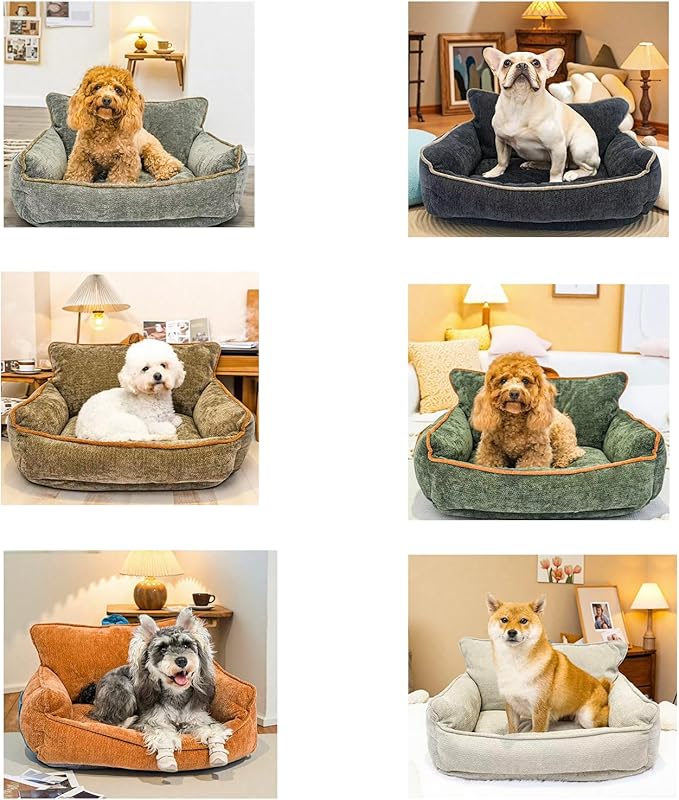 Washable Dog Bed,Memory Foam Dog Bed,Medium Size Dog Bed with Cover,Waterproof,M(23.5"x15.5"x13.5")