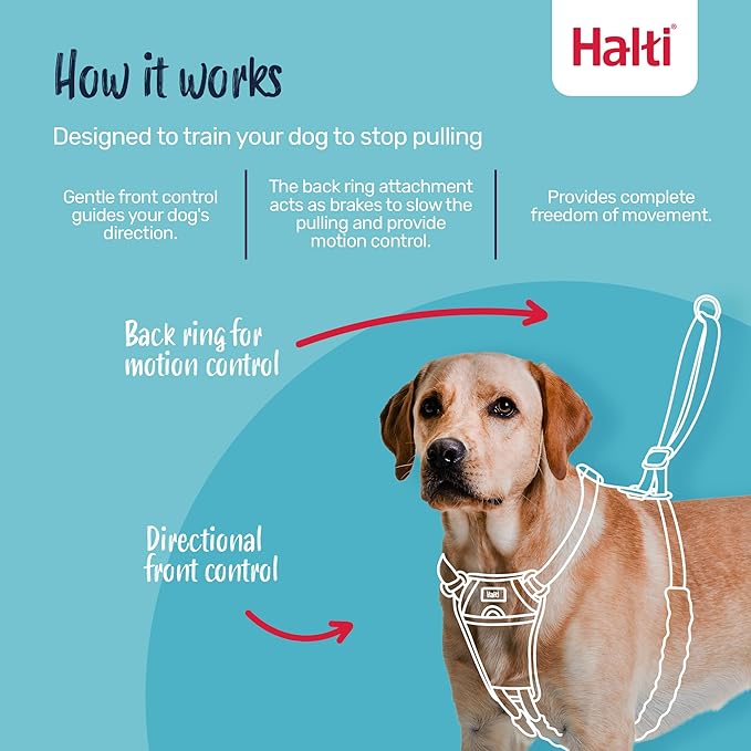 Halti No Pull Harness - Stop Your Dog Pulling on The Leash. Adjustable, Lightweight and Easy to Use. Reflective Dog Training Harness for Medium Dogs (Size M, Forest Green)